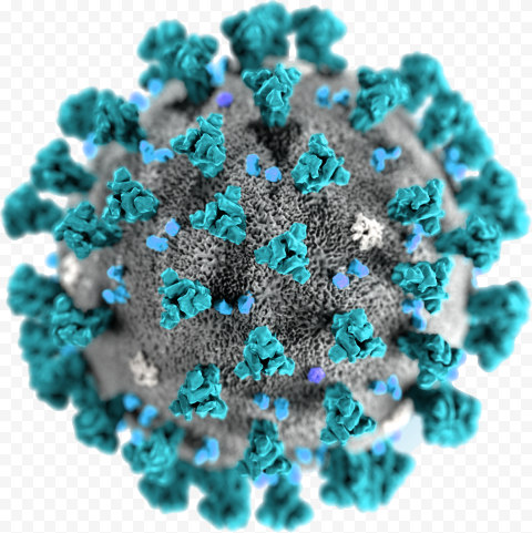 Coronavirus Disease PNG Transparent Image Free download png image