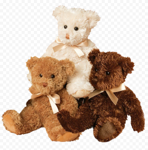 Stuffed Teddy Bear PNG Photos