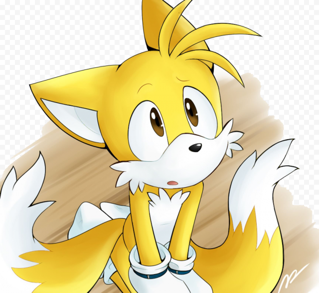 Tails PNG Transparent  FREE DOWNLOAD