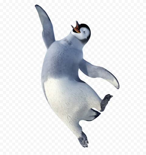 Download Happy Feet PNG Image