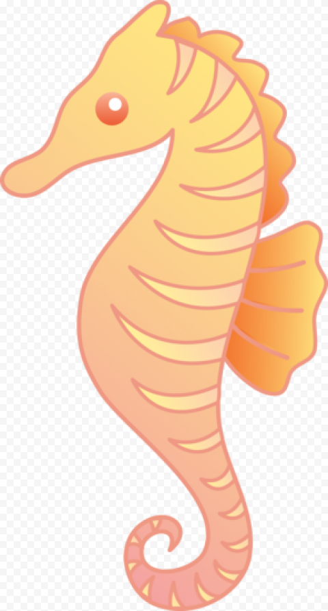 Download Cute Seahorse PNG Photos