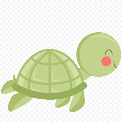 Download Cute Turtle PNG Photos