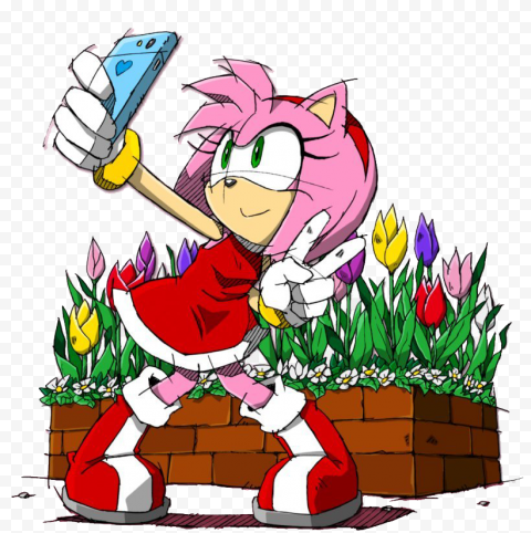 Amy Rose PNG HD