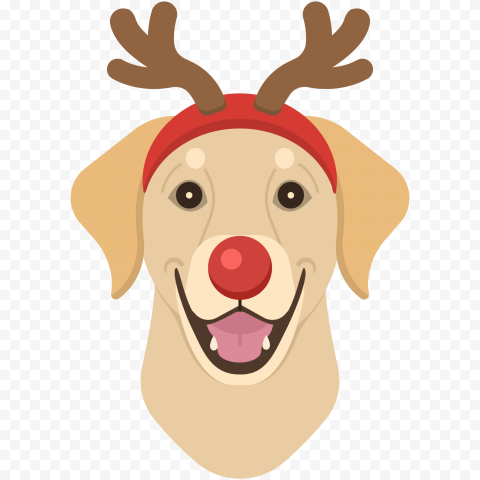 dog nose deer for christmas