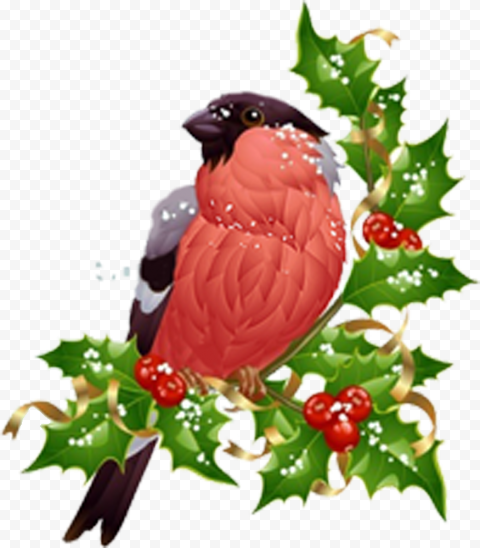 christmas ornament tree fruit for christmas