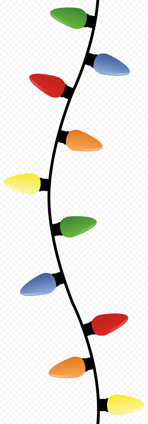 plant flora leaf for christmas