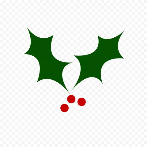 plant flower leaf for christmas 1