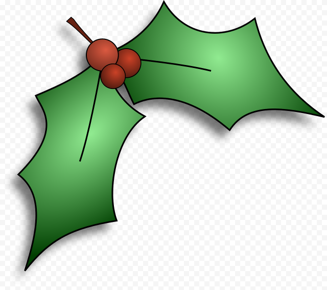 leaf plant for christmas