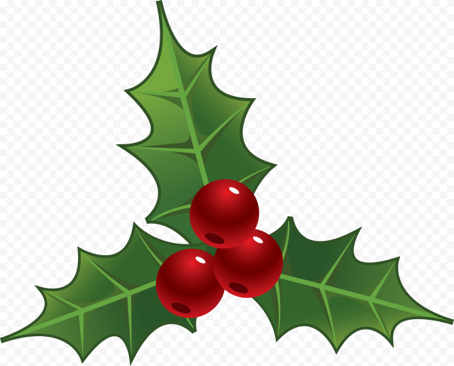 evergreen plant leaf for christmas