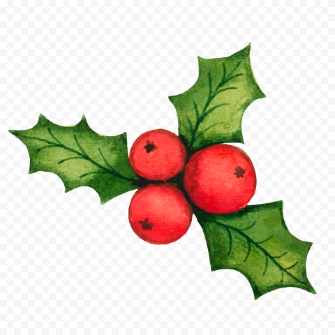 plant leaf food for christmas 1