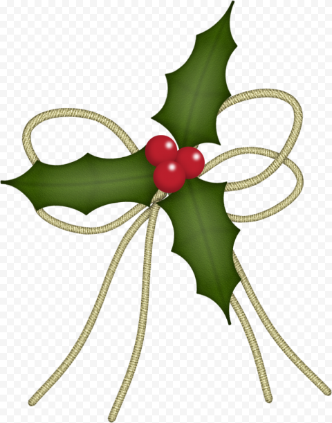 flower plant leaf for christmas