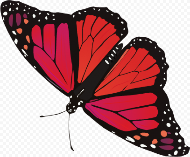 butterfly png red