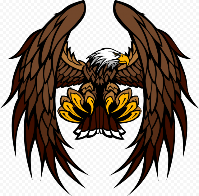 Bald Eagle, Birds printing, animals, vertebrate