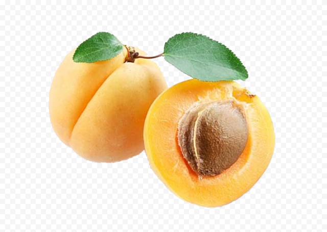 Download apricot png clipart