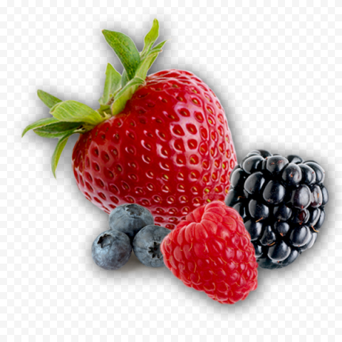 Download berries transparent picture 600x600