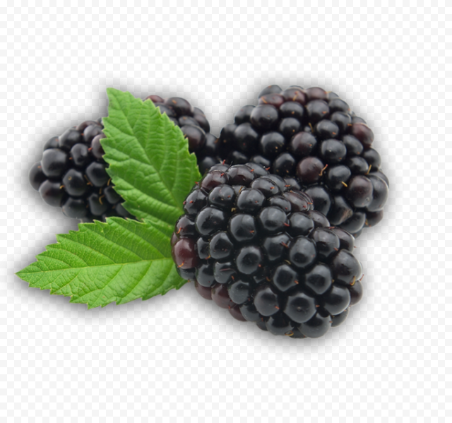 blackberry fruit transparent