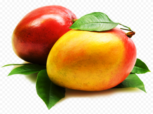  mango png clipart