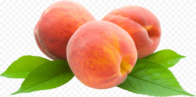 50 peach png image