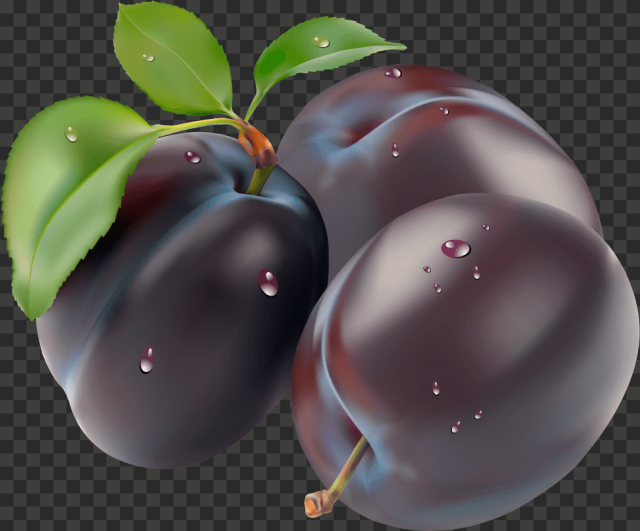 plum png image 5