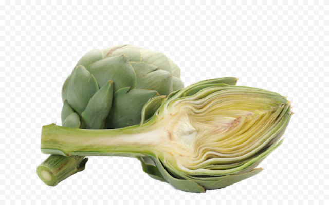 artichokes clipart