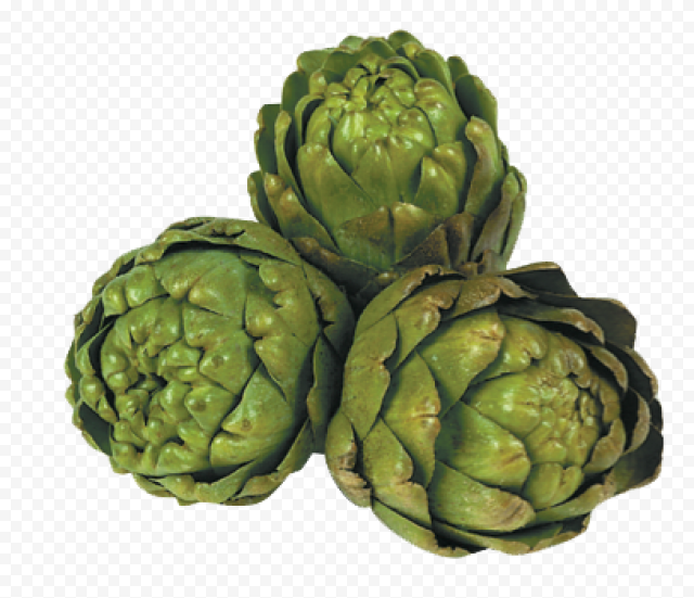 artichokes hd