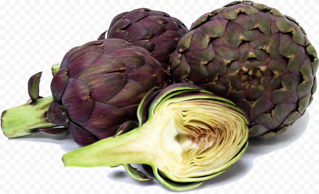 artichokes photos