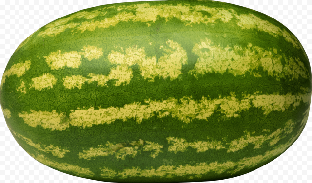 18 watermelon png image