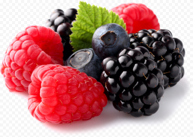 berries free download