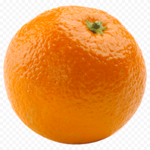 orange png picture download