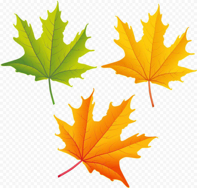 Falling Autumn Leaves Png High quality Image   Fall Leaves Free Clip Art, Transparent Png