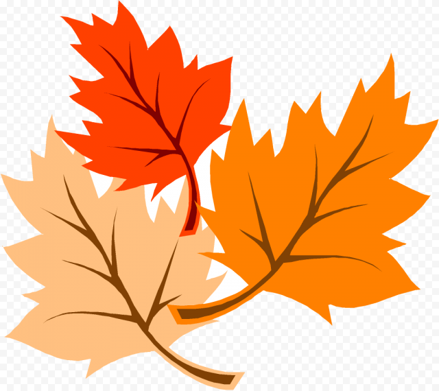 November Leaves Png   Autumn Leaves Clipart, Transparent Png