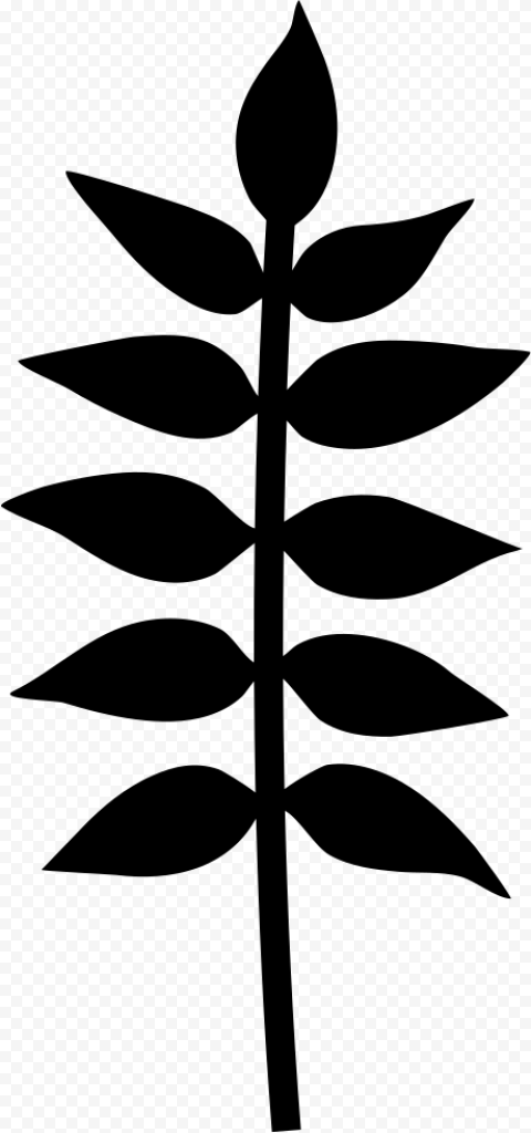Plant Branch With Leaves   Leaves On Branch Stencil, HD Png Download