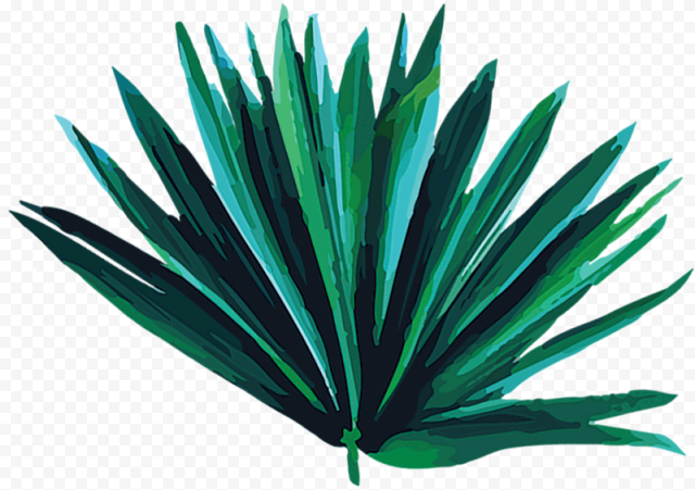 Brisbane , Png Download   Grass, Transparent Png