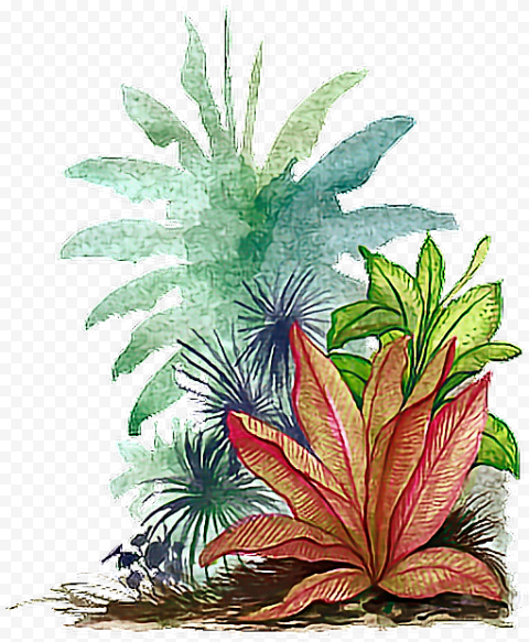 Tropical Leaves Png, Transparent Png
