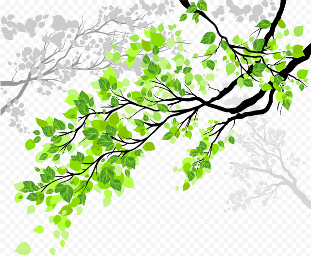 Transparent Tree Branch With Leaves Clipart   Cool Tree Branches With Leaves, HD Png