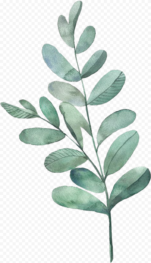 Watercolor Painting Leaf Illustration Watercolor Leaves   Watercolor Green Leaves Png, Transparent Png