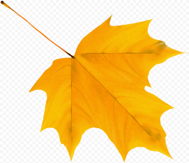 Autumn Leaves Clipart Png, Transparent Png