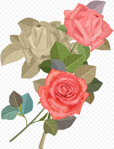 wedding invitation beach rose flower euclidean vector invitation png