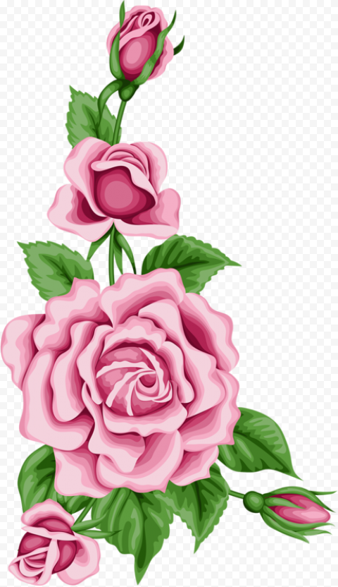 flower card with colorful roses png pinterest flower