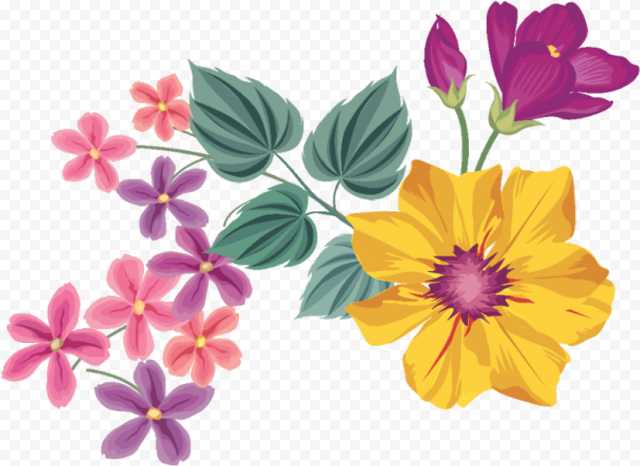 transparent white flower border png frame border transparent png