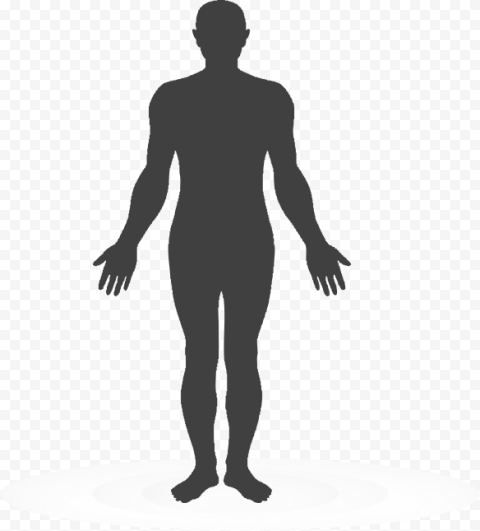 Vector Human Body PNG Photo