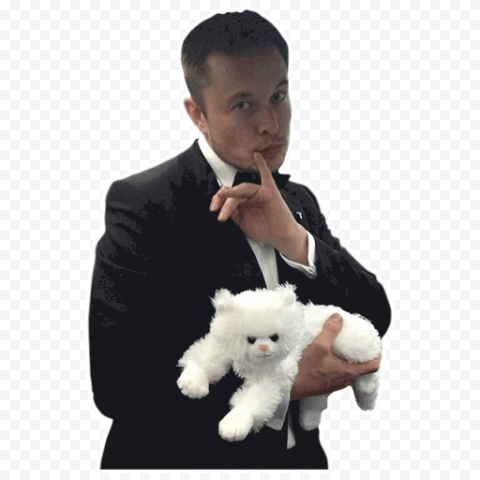Elon Musk SpaceX Tesla Motors Falcon Heavy Chief Executive, Simon Baroncohen, carnivoran, dog Like Mammal, dog Breed png