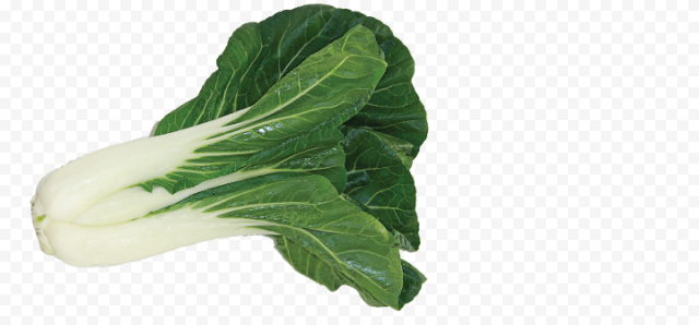 Bok Choy PNG Transparent Image