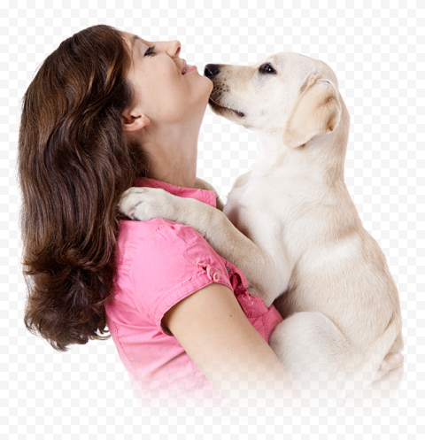 Dog Pet Shop Veterinarian Cat, Dog, animals, carnivoran, pet png