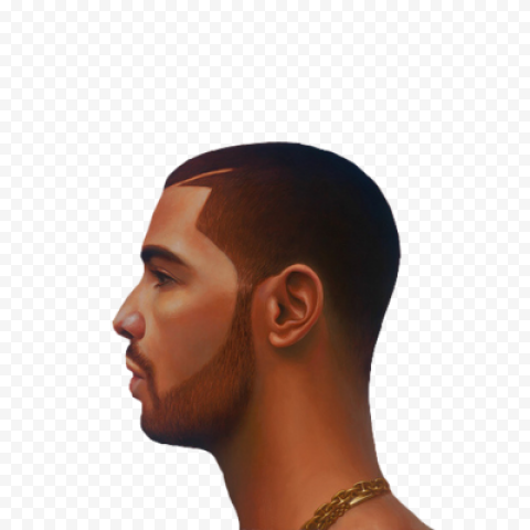 Drake Face PNG Photos