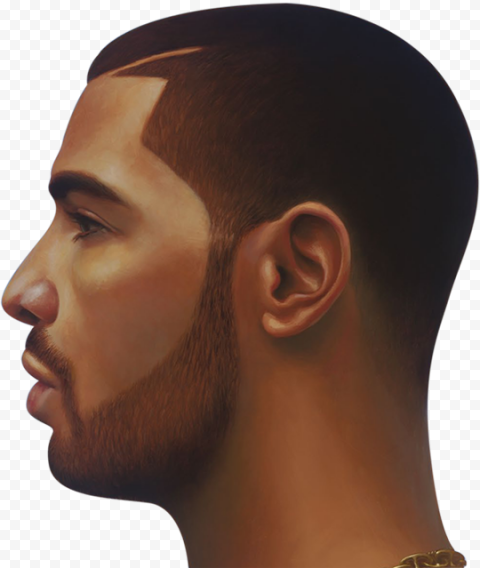Drake Face PNG Image