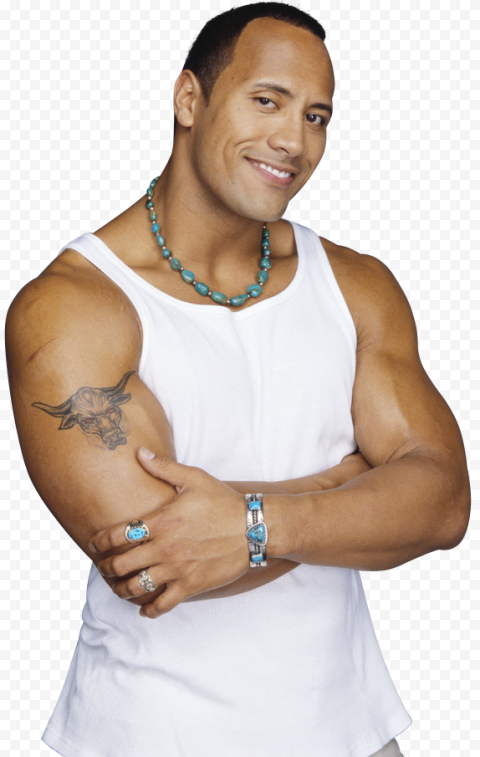 The Rock PNG Picture