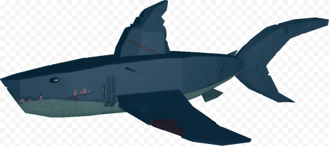 Megalodon Shark PNG Image