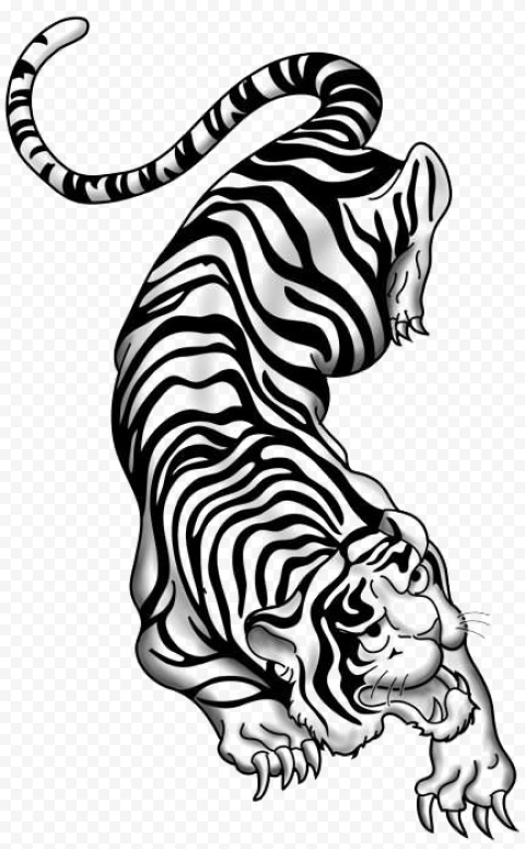 Tiger Tattoos PNG Picture