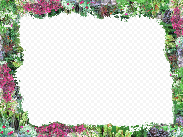 Flower Border PNG Transparent Image